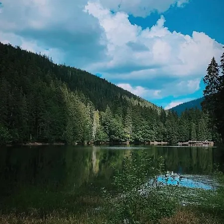 Borzhava *