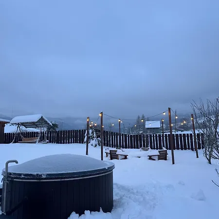 Шале Borzhava *