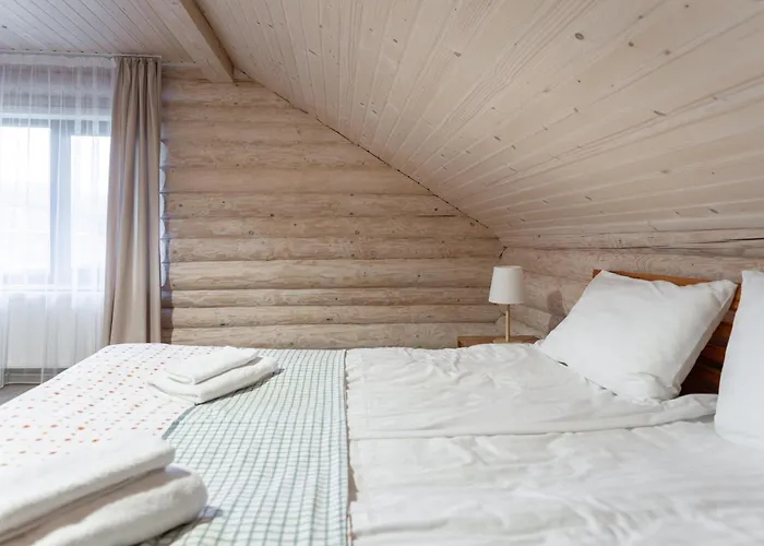 Borzhava Chalet Huklyvyy